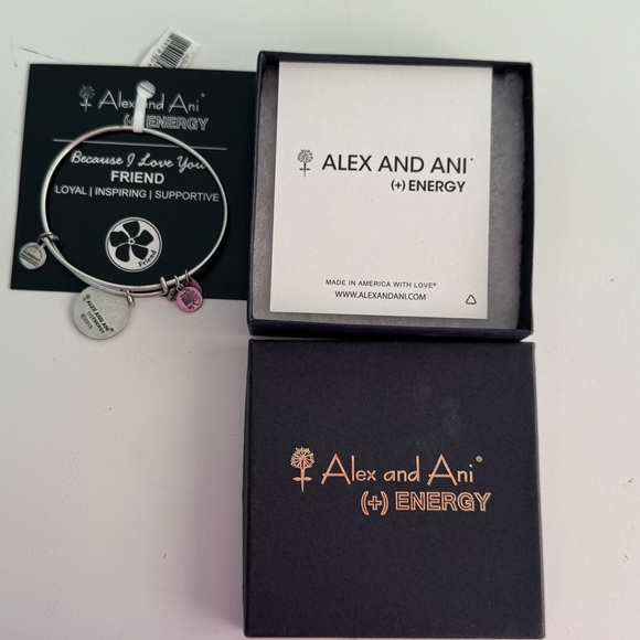 Alex and Ani (+) Energy Silvertone "BECAUSE I LOVE YOU FRIEND" Bracelet NEW - Picture 1 of 13